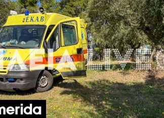 Ηλεία: 73χρονος εντοπίστηκε νεκρός σε ελαιώνα, κάτω από δέντρο -Μάζευε μόνος του ελιές